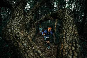 BIB: 
                            <button type="button" onclick="openModal(25687522)" class="btn btn-primary btn-sm float-right btn-popup" data-toggle="modal" data-target=".modal-high-quality">
                        <i class="fas fa-shopping-cart"></i> Add to Cart
                    </button>
                                            <button type="button" onclick="isThisMe(25687522, true)" class="btn btn-success btn-sm float-right btn-popup btn-isme hidden" data-toggle="tooltip" data-placement="bottom" title="นี่คือรูปของคุณใช่ไหม คลิกที่นี่เพื่อเอาเข้าอัลบั้ม">
                        <i class="fas fa-plus"></i> Add to album
                    </button>
                    <button type="button" onclick="isThisMe(25687522, false)" class="btn btn-warning btn-sm float-right btn-popup btn-isnotme hidden">
                        <i class="fas fa-ban"></i> Remove from album
                    </button>